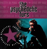 The Psychedelic Furs - President Gas