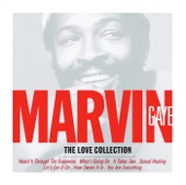 Marvin Gaye - I Heard It Through The Grapevine