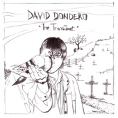 David Dondero - The Stars Are My Chandelier