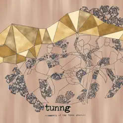 Comments of the Inner Chorus - Tunng