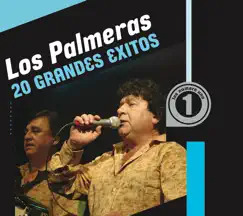 20 Grandes Exitos by Los Palmeras album reviews, ratings, credits
