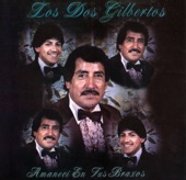 Amaneci en Tu Brazos