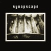 Synapscape
