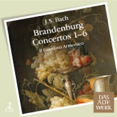 Il Giardino Armonico - Bach: Brandenburg Concerto No.1 in F major BWV1046 : I [Allegro]