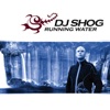 DJ Shog - Running Water (Radio Edit)