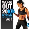 Work Out 2010 - In the Mix, Vol. 4 (128 - 132 Bpm)