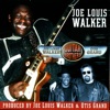 Joe Louis Walker - I'm Gonna Love You