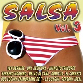 Salsa Vol.3 artwork