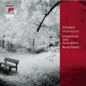 Schubert: Impromptus, D. 899 & D. 935 - Schubert-Liszt: Song Transcriptions [Classic Library] artwork