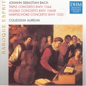 Harpsichord Concerto No. 1 in D minor, BWV 1052: Adagio artwork