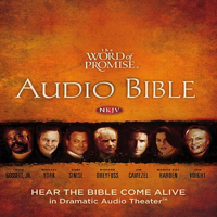 Thomas Nelson, Inc. - The Word of Promise Audio Bible - New King James Version, NKJV: (09) 2 Samuel (Unabridged) artwork