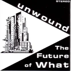 The Future of What - Unwound