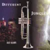 Different Jungles album lyrics, reviews, download