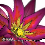 We Almost Didn't Make It