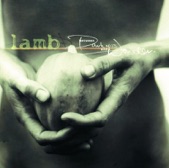 Lamb - Sun