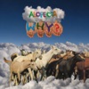 WHY? - A Sky for Shoeing Horses Under