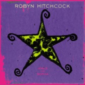Robyn Hitchcock - Mexican God