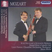 W. A. Mozart: Clarinet and Bassoon Concertos artwork