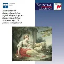 String Quartet No. 1 in E Flat Major, Op. 12: I. Adagio non troppo - Allegro non tardante Song Lyrics
