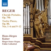 Reger: Organ Works, Vol. 11 artwork