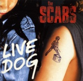Live Dog, 1994