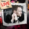 David Gray - Kathleen