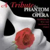 Phantom of the Opera - the Musical - a Tribute ! album lyrics, reviews, download