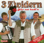 Oktoberfest - Holzmichl - 3 Zwidern