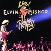 Elvin Bishop - Rock My Soul (Live)