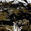 Aun - Twylark Rope