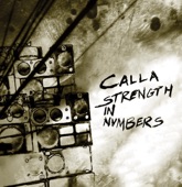 Strength In Numbers (Bonus Track Version)