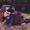 Dave Jorgenson - No Way No How