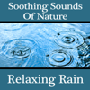 Soothing Sounds of Nature: Relaxing Rain - Pro Sound Effects Library
