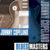 Blues Masters: Johnny Copeland artwork