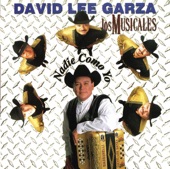 David Lee Garza y Los Musicales - Me Vuelvo a Enamorar