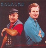 ציפורים נודדות (1991) artwork