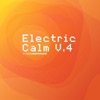 Electric Calm, Vol. 4