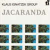 Jacaranda