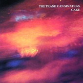Trashcan Sinatras - Obscurity Knocks