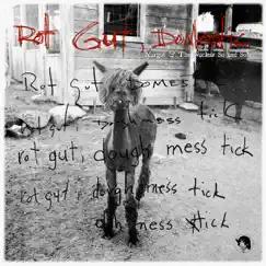 Rot Gut, Domestic by Margot & The Nuclear So and So's album reviews, ratings, credits