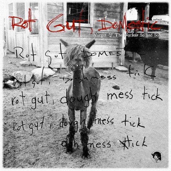 Cover artwork for Shannon
