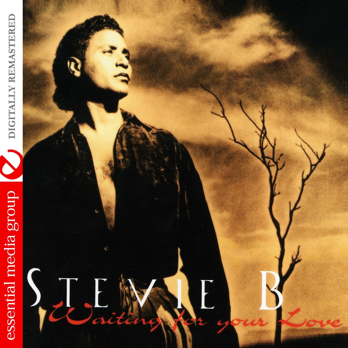 stevie b waiting for your love torrent