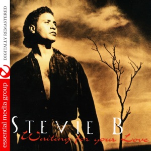 Stevie B - Waiting for Your Love - Line Dance Chorégraphe