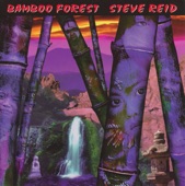 Steve Reid & Bamboo Forest - Soul Mates