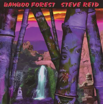 Amazon Mist by Steve Reid song reviws