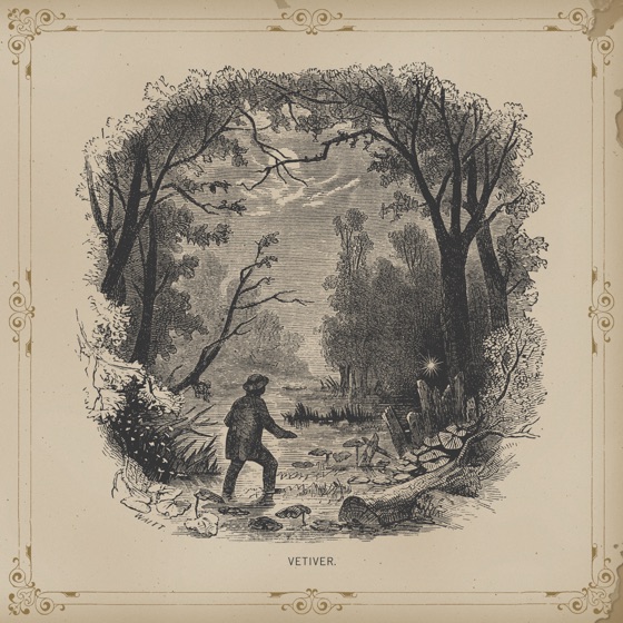 Cover artwork for Without a Song