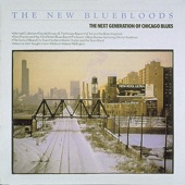 The New Bluebloods - The Next Generation of Chicago Blues artwork