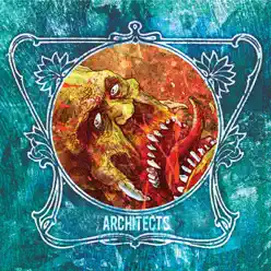 Split - Single - Architects