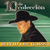 David Lee Garza Y Los Musicales - Cosa Rica