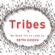 Seth Godin - Tribes: We Need You to Lead Us (Unabridged)
